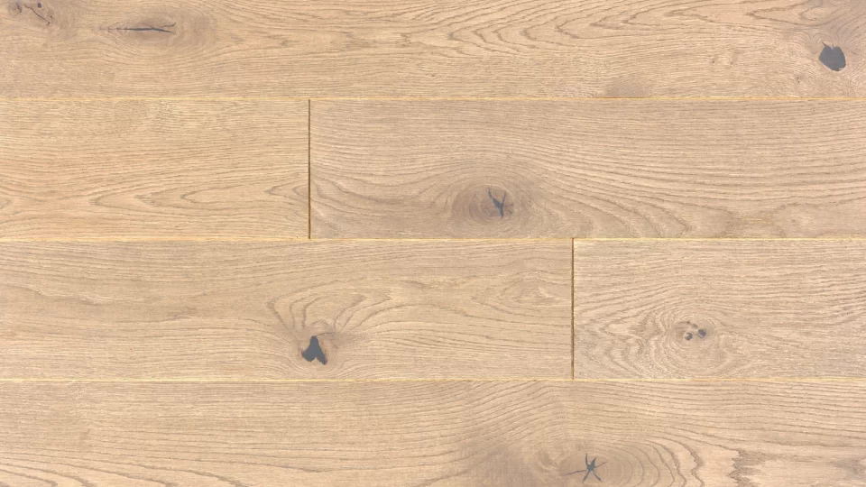 Polskie Dęby - Dąb Stylowy