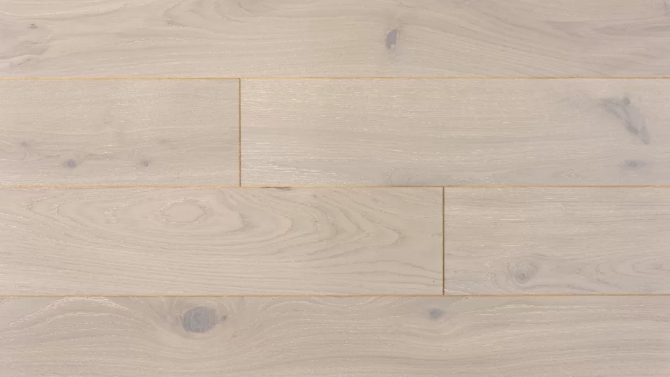 Polskie Dęby - Dąb Zakopiański