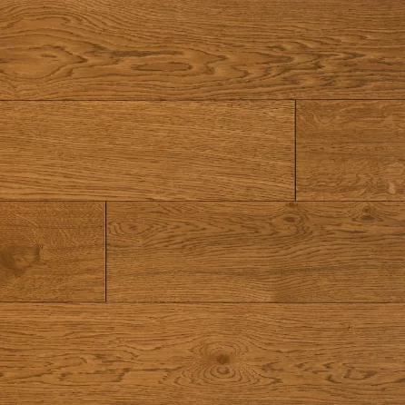 Polskie Dęby - Dąb Kaszubski