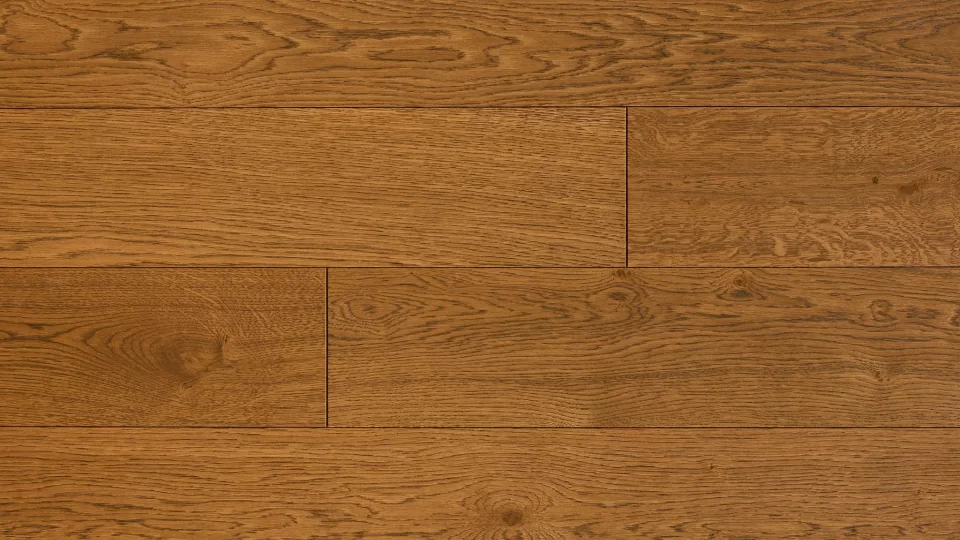 Polskie Dęby - Dąb Kaszubski