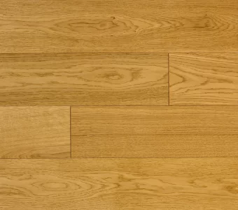 Polskie Dęby - Dąb Herbowy