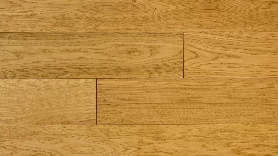 Polskie Dęby - Dąb Herbowy