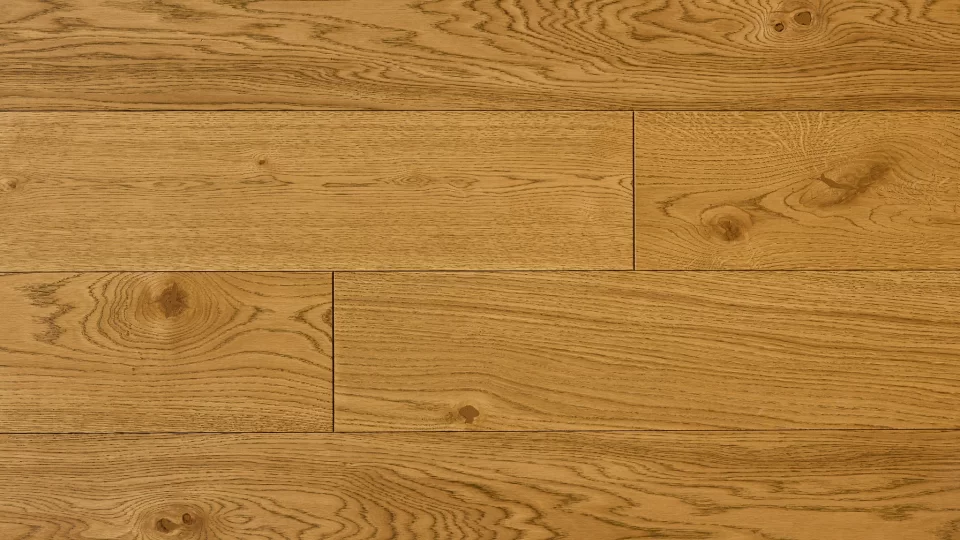 Polskie Dęby - Dąb Jagielloński