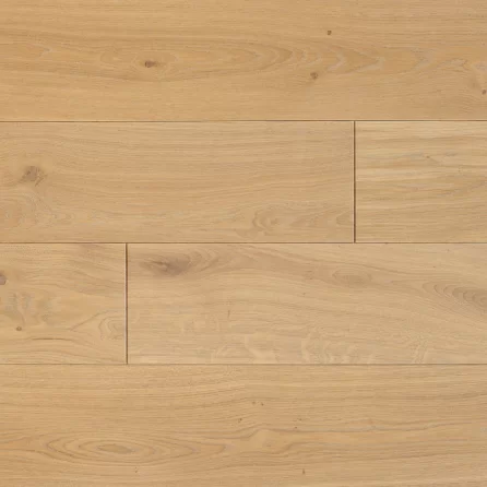 Polskie Dęby - Dąb Katedralny