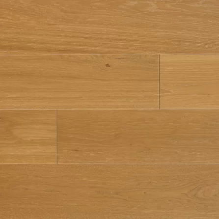 Polskie Dęby - Dąb Krakowski