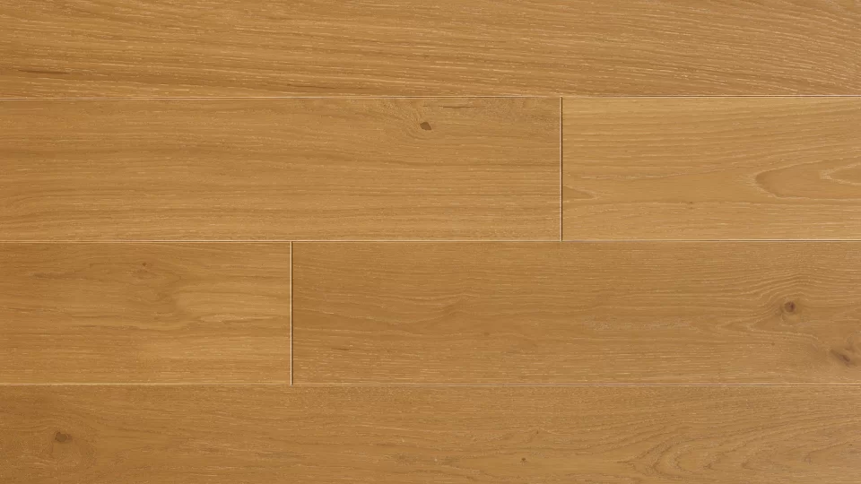 Polskie Dęby - Dąb Krakowski