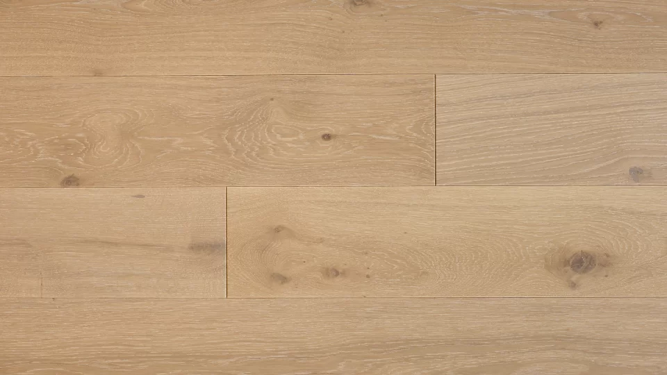 Polskie Dęby - Dąb Nowoczesny