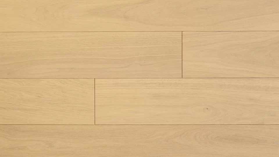 Polskie Dęby - Dąb Słowiański