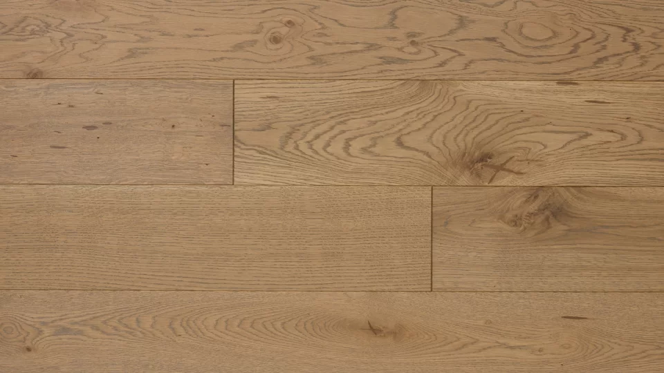 Polskie Dęby - Dąb Piastowski